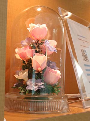 ループスライダー画像